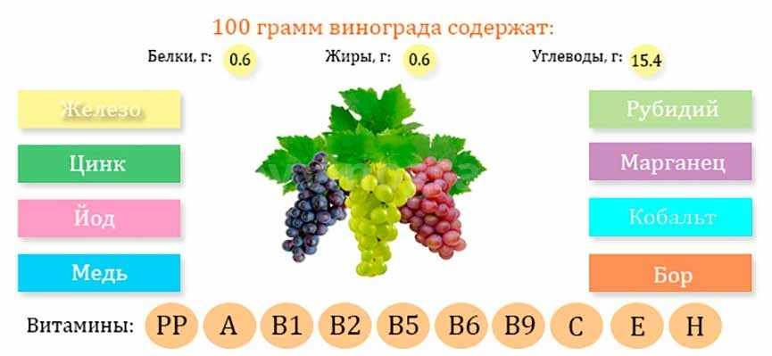 Полезный состав свежего винограда