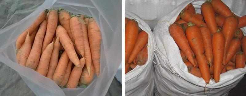 Морковь в мешках