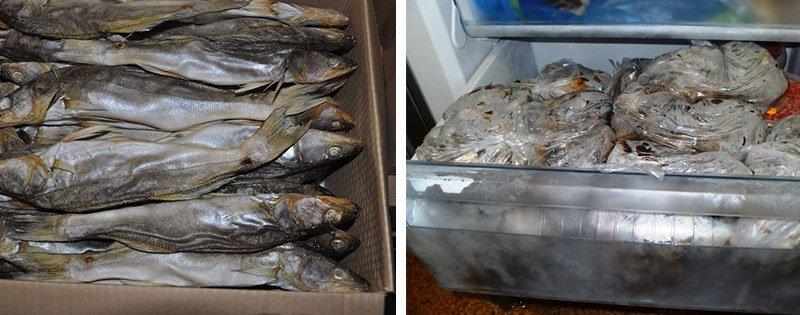 Хранение сушеной и вяленой рыбы