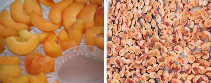 Сушеные абрикосы в домашних условиях