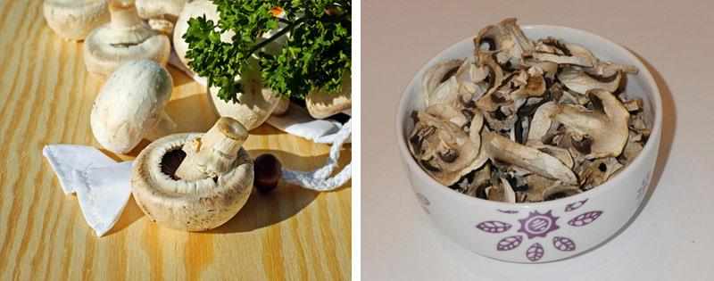Варианты заготовки грибов шампиньонов