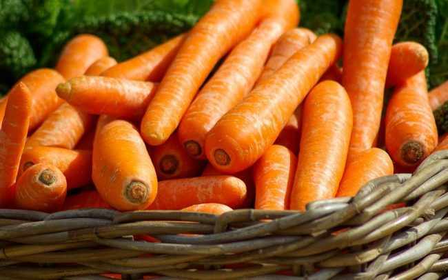 Морковь для хранения на зиму:лучшие сорта