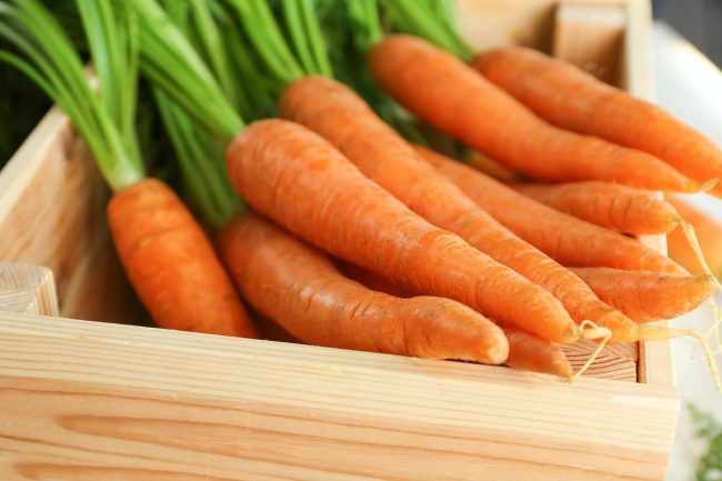 Сохраняем урожай моркови в зиму правильно
