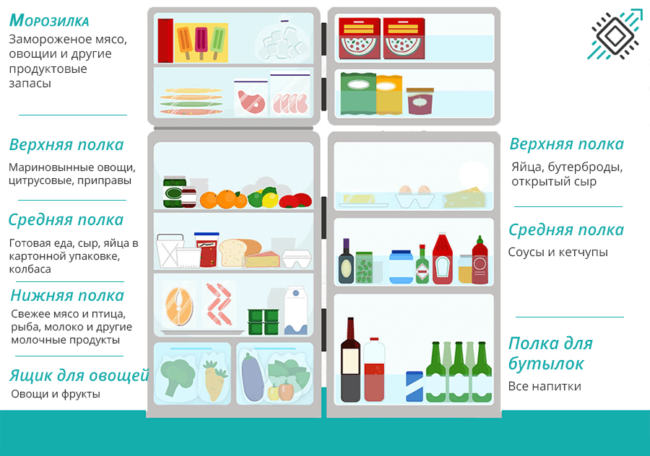 Хранение продуктов в холодильнике: схема расположения