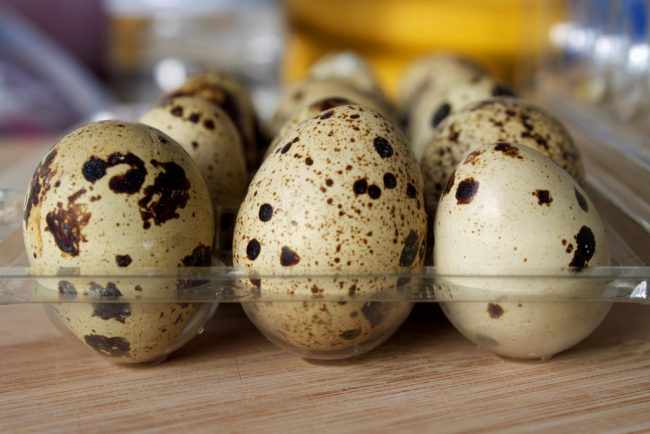 Срок годности перепелиных яиц: способы длительного хранения