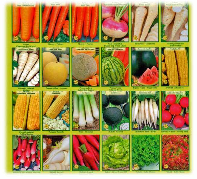 Срок годности семян разных овощных культур