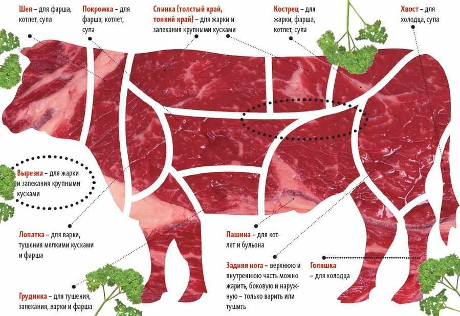 Как правильно выбрать мясо?