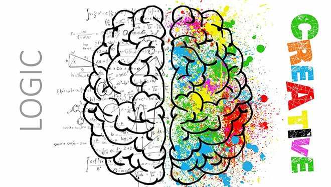 мозг творческий и рациональный