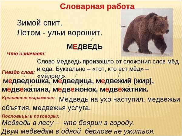 Проверочное слово к слову медведь